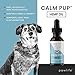 Dog Calming Aid - Hemp Oil for Dogs - Calming Extract for Stress and Anxiety Support - Omega 3 and 6 Fatty Acids - Hip and Joint Pain Support for Dogs - 1oz 250mg