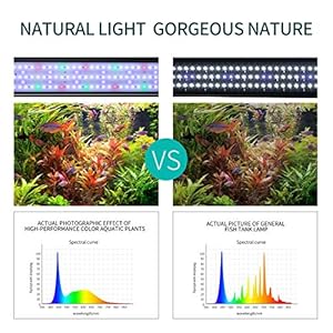 JOYHILL Illuminazione per Acquario, Plafoniera LED Acquario Dolce, Lampada LED per Acquario Luce Acquario 50-70cm
