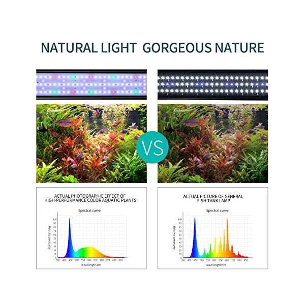 JOYHILL Illuminazione per Acquario, Plafoniera LED Acquario Dolce, Lampada LED per Acquario Luce Acquario 50-70cm