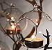 3" Hanging Glass Globe Ball Candle Holders, Plant Glass Terrariums | Pack of 6 2 day sale only primary