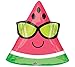 Burton & Burton Pkg Fun in the Sun Watermelon Foil Balloon, 18"