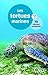 Les tortues marines : 70 clés pour comprendre by 