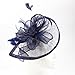 FeiYu Crafts Penny Mesh Hat Fascinator with Mesh Ribbons and Navy Feathers