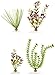 Marineland Multi-Pack Assorted Plastic Plants C1, 4, Small (ML90543)