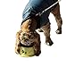 PETish Spaniel Bowl for Long Ear Dog - Ergonomic Personalized Custom Design Bowls, NO Tip Stainless Dish (Medium (17oz - 6.3 x 5.3 x 3.0inch), Banana Yellow)