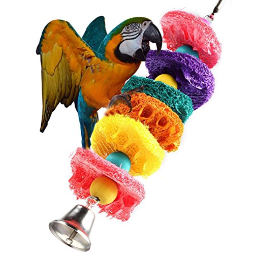 Buy Dog Toy,Pikolai Parrot Toy Bird Cage Cockatoo Conure Grasp Chew