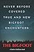 TRUE AND NEW Bigfoot Encounters: Never before covered encounters by Robert Sullivan
