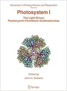 Photosystem I The Light Driven Plastocyanin Ferredoxin