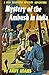 Mystery of the Ambush in India (Illustrated) (Biff Brewster Mysteries Book 7)