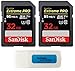 SanDisk 32GB (Two Pack) Extreme Pro Memory Card works with Nikon D3400, D3300, D750, D5500, D5300, D500, AW130, W100, L840 Digital DSLR Camera SDHC 4K V30 UHS-I with Everything But Stromboli Reader
