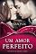 Livro Um amor perfeito