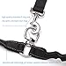 Dual Dog Leash Includes Bungee Coupler, Soft Padded Handle & Training Ebooks - Premium Quality - Tangle Free Double Dog Walker for Two Dogs - Ideal for Medium to Large Dogs