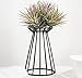 Pack of 2 Air Plant Tillandsia Base Large Tillandsia Air Plant Holder Metal Indoor Tabletop Big Streptophylla Air Plant Stands Tillandsia Plant Racks Large Xerographica Air Plant Stand