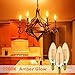 Emotionlite LED Light Bulbs, Dimmable Candelabra Bulbs, E12 Base, Amber Yellowish, Chandelier Light, Ceiling Fan Bulb, 40W Equivalent, 4W, 2200K, 300LM, 6 Pack