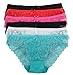 Barbra's 6 Pack Women's Allover Lace Regular& Plus Size Sexy Bikini Panties