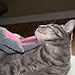 Kitty Tongue: Cat Pampering & Massage Glove with Gentle Grooming
