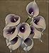 niceEshop(TM) European Style Calla Lily Bridal Wedding Bouquet Real Touch PU Flowers (Light Purple, 10Pcs)