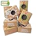 Moretoes 16pcs Christmas Cookie Gift Boxes Treat Boxes For Gift Giving, Pastry, Candy, Party Favors, Vintage Kraft Design with Clear Window