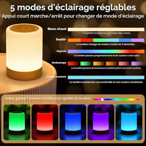 NIWOHOM 2 x Touch Bedside Lamp, Dimmable Wireless Rechargeable Lamp with 5 Modes and 256 RGB Colors, Warm Adult Night Light with Timer for Bedroom, Living Room, Camping