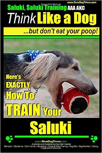 saluki muzzle