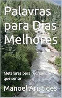 Livro Palavras para Dias Melhores: Metáforas para reorganizar o que sente