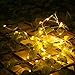 ANTSIR Outdoor Solar Powered Copper Wire String Lights,200 LEDs 66ft 8 Modes,Waterproof for Landscape,Garden,Trees,Weddings,Parties