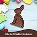 DOVE Easter Bunny Milk Chocolate Candy Gift, 4.5 oz