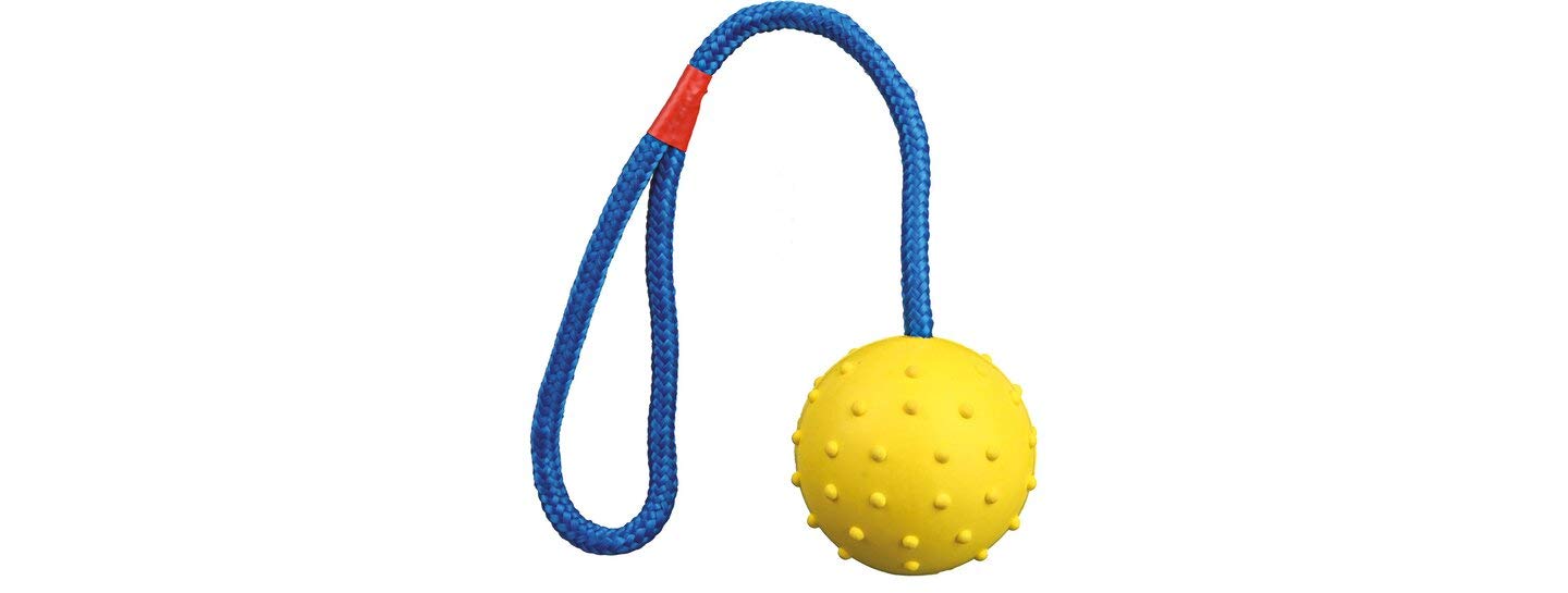 Buy Emily Pets Rubber Ball on a String Dog Toy Online at Low Prices in
