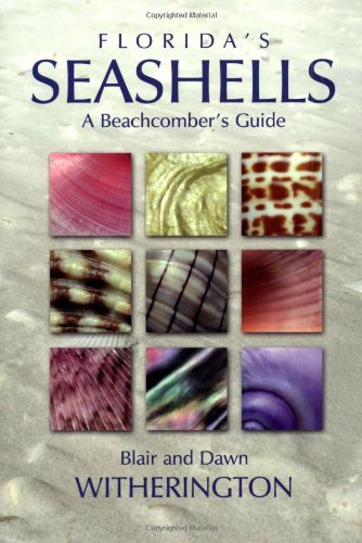 Download Florida's Seashells: A Beachcomber's Guide