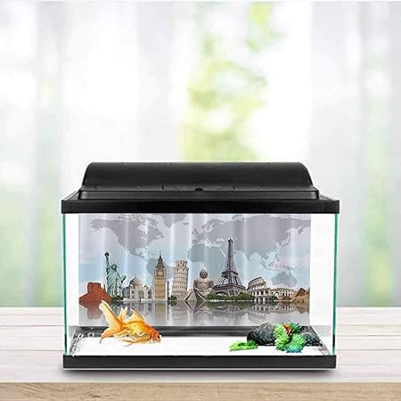 big fish tank decorations