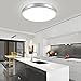 Lantu Creative LED Flush Mount Ceiling Light Round Ceiling Lamp Surface Panel Light Mounted Downlight,Ceiling Down lighting for Kitchen Bathroom Dining Room ((12W)cool white)