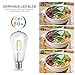 Oak Leaf Dimmable 6W Vintage Edison LED Bulbs, ST64 60W Equivalent LED Filament Light Bulb, Daylight White 5000K Antique Bulbs, E26 Base, 500 Lumens, CRI 80, ETL Listed, 6-Pac