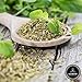 Naturevibe Botanicals Basil Leaves (100gm) [Packaging may vary]