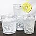 Corelle Coordinates Boutique Cherish Acrylic Tumbler Glasses, 19-Ounce, Set of 6