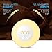 Wake Up Light Alarm Clock - Digital Led Sunrise Simulator Alarm Clock Radio FM RGB White Adjustable Color Changing Touch Display Circular Modern Wake Up Table Lamp Light