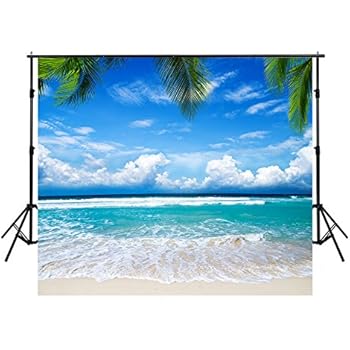 Amazon.com : 10x10 FT Tropical Beach Backdrop Wedding