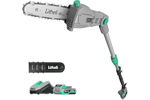 Litheli Cordless Pole Saw 10-Inch, 20V Battery-Powered Pole Saws for Tree Trimming, Tree Trimmer for Branch Cutting, Trimming
