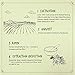 SEED TO ESSENCE [SUISKIN] 100% Natural Daily Skin Moisturizer Herbal Skin Soothing, Nourishing Facial Care