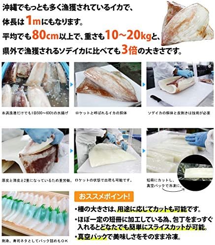 Amazon ソデイカ 短冊 5kg 丸昇物産 沖縄の巨大イカ セーイカを真空パック 歯ごたえ抜群のもちもち食感 刺身や天ぷら イカステーキに オリーブガーデン イカ 通販