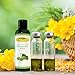 Pure Tamanu Oil Organic Cold Pressed Unrefined for Skin, Nail, Hair, Face & Scalp -Carrier Oil with Vitamin E, Best Eczema Cream, Acne Treatment, Massage Oil, Scar Removal/Stretch Mark Cream (4 oz)