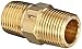 Dixon Valve BCN37 Brass Fitting, Hex Nipple, 3/8