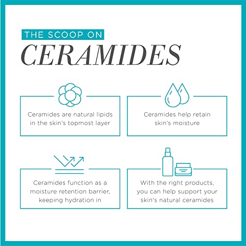 Curel Japanese Skin Care Moisture Facial Milk Moisturizer, Daily Face