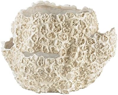 Dimond Home Cretaceous Clam Shell in Aged White