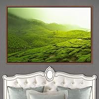 Framed Canvas Wall Art Greenlands Aerial Dark Farmhouse/Country Green Nature Photography Realism Relax/Calm - 16x24 inches