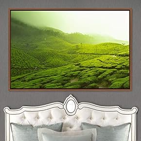 signwin Framed Canvas Wall Art Greenlands Aerial Dark...