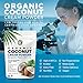 Organic Premium Coconut Milk Powder | Perfect Keto Powdered Coffee Creamer | High in MCT Oil | Vegan | No Added Sugar | Dehydrated | Gluten and Dairy Free - (2 Pack)