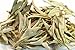 White Sage Leaves - Organic - 1 Pound - by EarthWise Aromatics