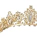 Sweet Princess Pink Crowns for Women Girls Crystal Rhinestone Queen Costume Party Festival Wedding Tiaras Headbands (Gold Red)