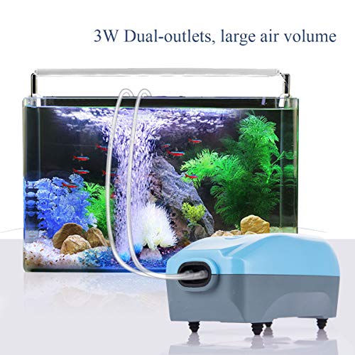HITOP Dual Outlets Aquarium Air Pump, Whisper Adjustable Fish Tank