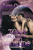 Torn Between Two Worlds (Guardians Series Book 1)